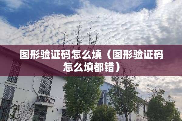 图形验证码怎么填（图形验证码怎么填都错）