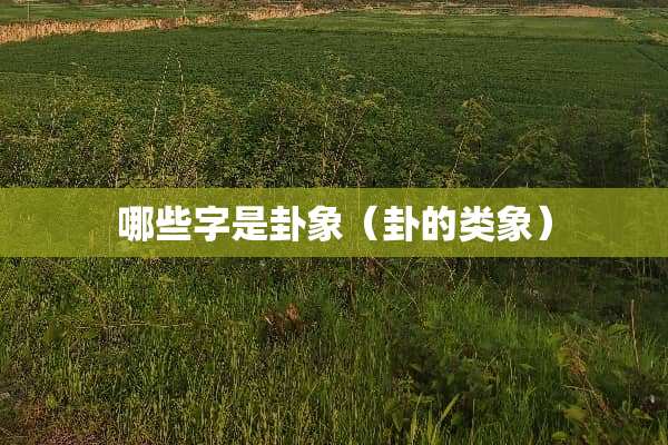 哪些字是卦象（卦的类象）