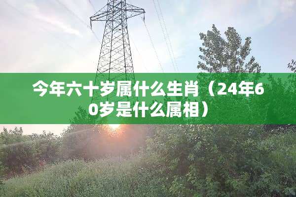 今年六十岁属什么生肖（24年60岁是什么属相）