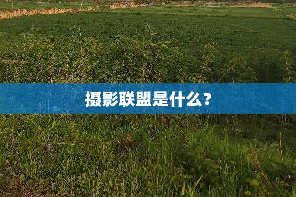 摄影联盟是什么？