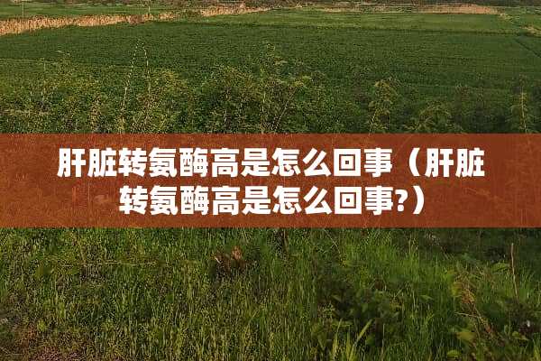 肝脏转氨酶高是怎么回事（肝脏转氨酶高是怎么回事?）