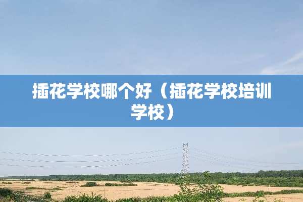 插花学校哪个好（插花学校培训学校）