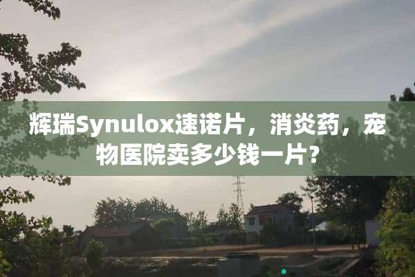 辉瑞Synulox速诺片，消炎药，宠物医院卖多少钱一片？