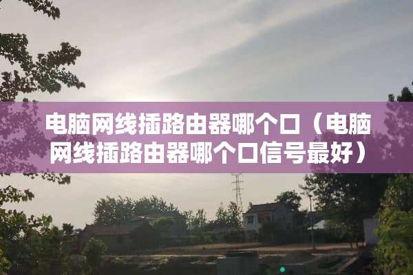 电脑网线插路由器哪个口（电脑网线插路由器哪个口信号最好）