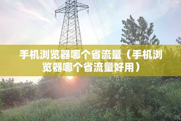 手机浏览器哪个省流量（手机浏览器哪个省流量好用）