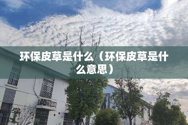 环保皮草是什么（环保皮草是什么意思）