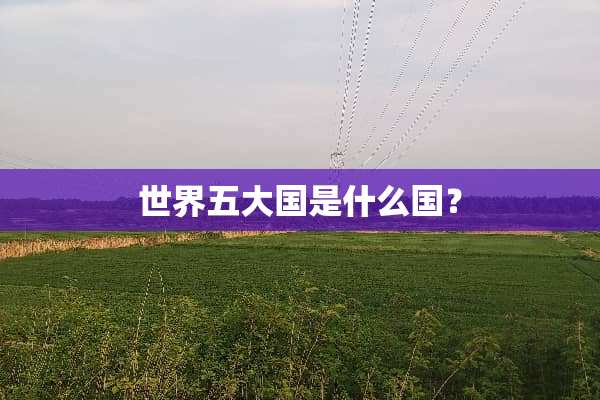 世界五大国是什么国？