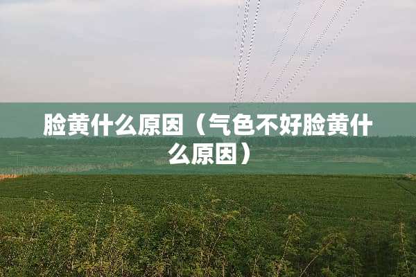 脸黄什么原因（气色不好脸黄什么原因）