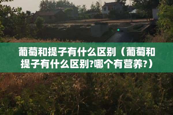 葡萄和提子有什么区别（葡萄和提子有什么区别?哪个有营养?）