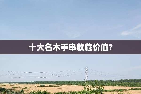 十大名木手串收藏价值？
