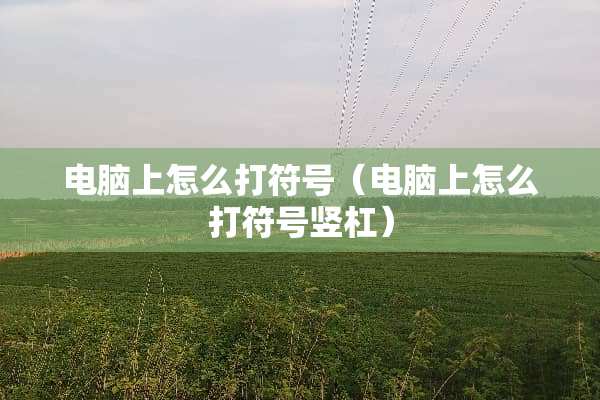 电脑上怎么打符号（电脑上怎么打符号竖杠）