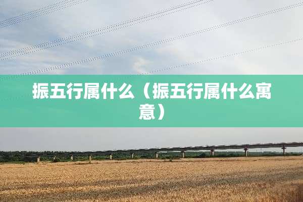 振五行属什么（振五行属什么寓意）