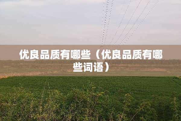 优良品质有哪些（优良品质有哪些词语）