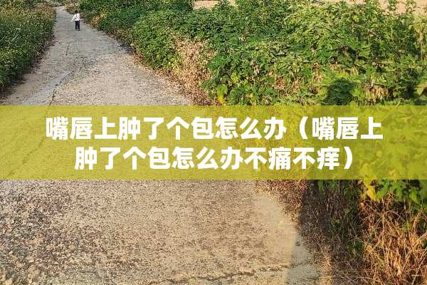嘴唇上肿了个包怎么办（嘴唇上肿了个包怎么办不痛不痒）