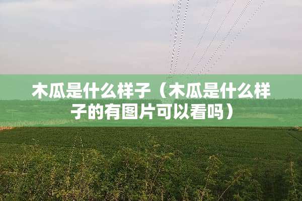 木瓜是什么样子（木瓜是什么样子的有图片可以看吗）