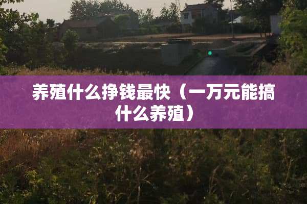 养殖什么挣钱最快（一万元能搞什么养殖）