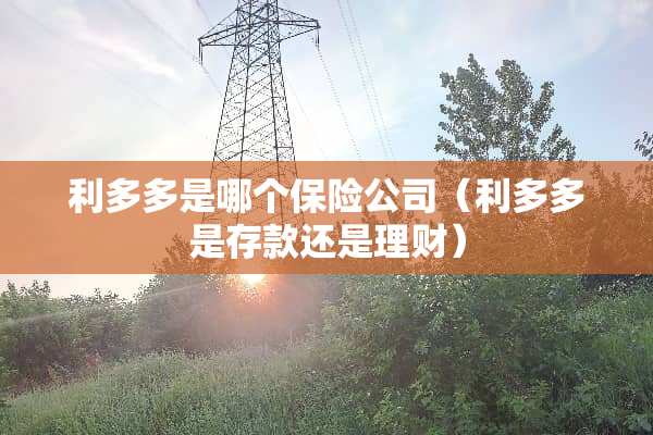 利多多是哪个保险公司（利多多是存款还是理财）