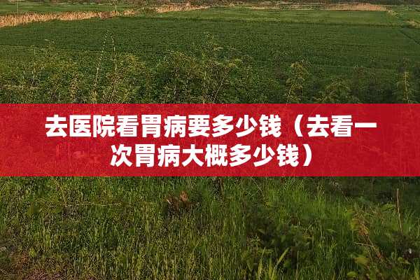 去医院看胃病要多少钱（去看一次胃病大概多少钱）