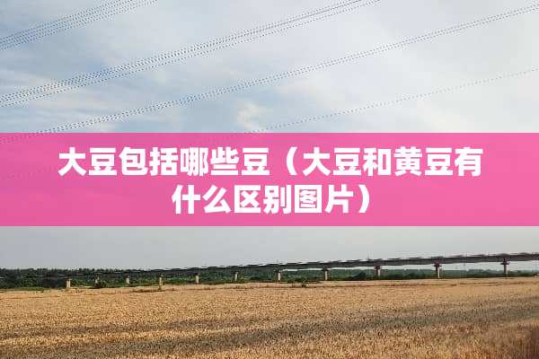 大豆包括哪些豆（大豆和黄豆有什么区别图片）