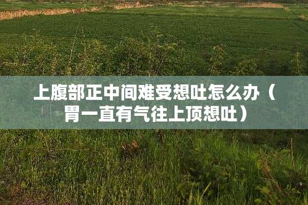上腹部正中间难受想吐怎么办（胃一直有气往上顶想吐）