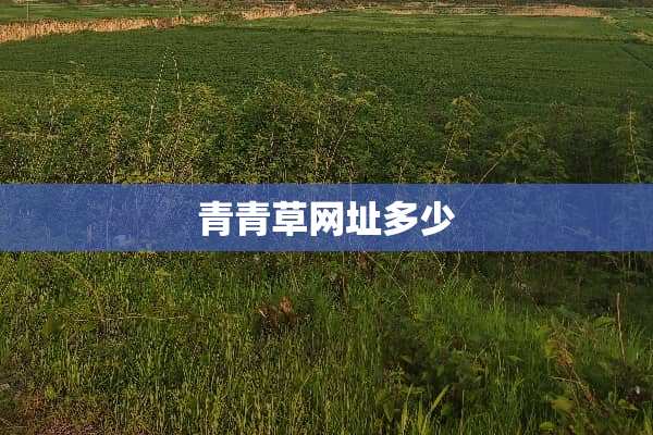 青青草网址多少
