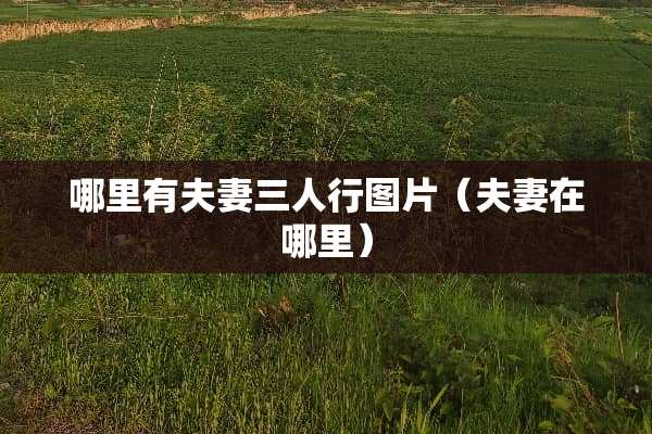 哪里有夫妻三人行图片（夫妻在哪里）