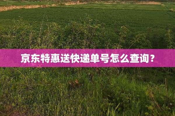 京东特惠送快递单号怎么查询？
