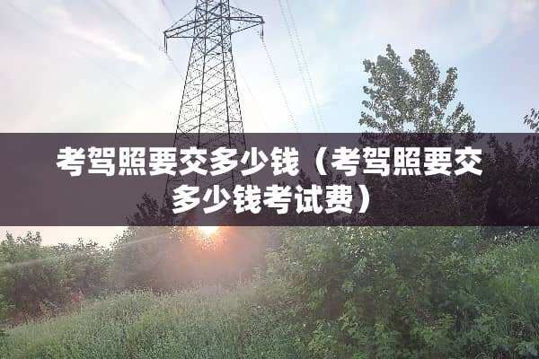 考驾照要交多少钱（考驾照要交多少钱考试费）