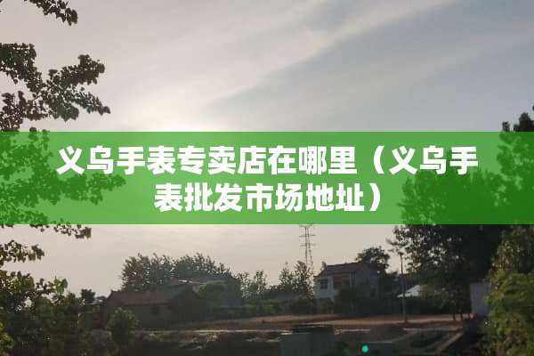 义乌手表专卖店在哪里（义乌手表批发市场地址）