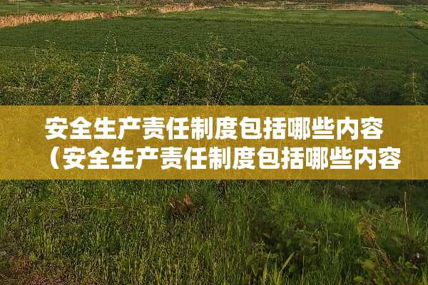 安全生产责任制度包括哪些内容（安全生产责任制度包括哪些内容和方法）
