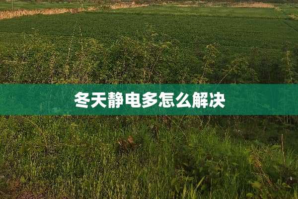 冬天静电多怎么解决