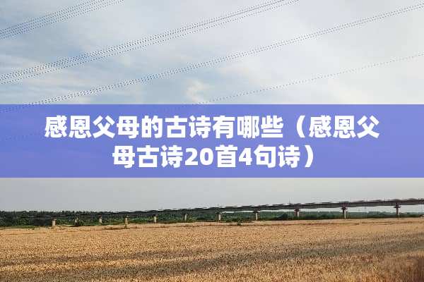 感恩父母的古诗有哪些（感恩父母古诗20首4句诗）