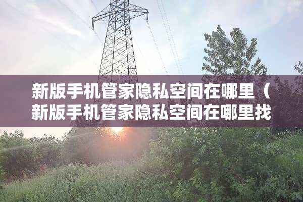新版手机管家隐私空间在哪里（新版手机管家隐私空间在***到）