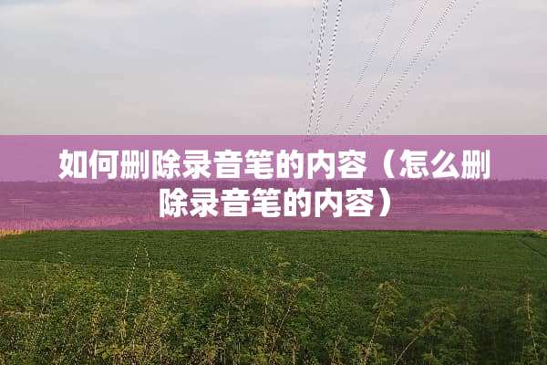 如何删除录音笔的内容（怎么删除录音笔的内容）