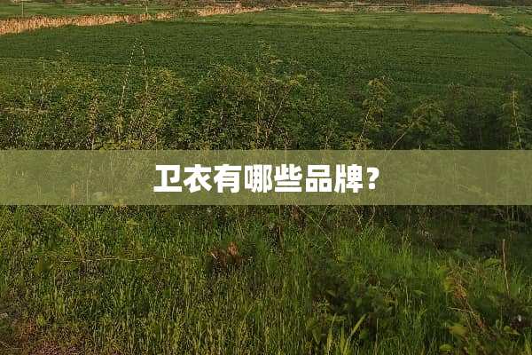 卫衣有哪些品牌？