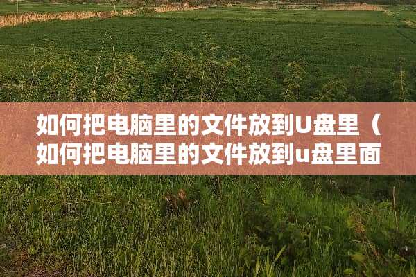 如何把电脑里的文件放到U盘里（如何把电脑里的文件放到u盘里面）