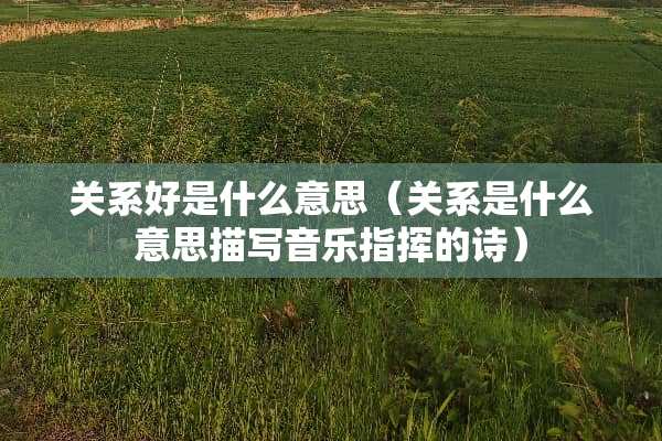 关系好是什么意思（关系是什么意思描写音乐指挥的诗）