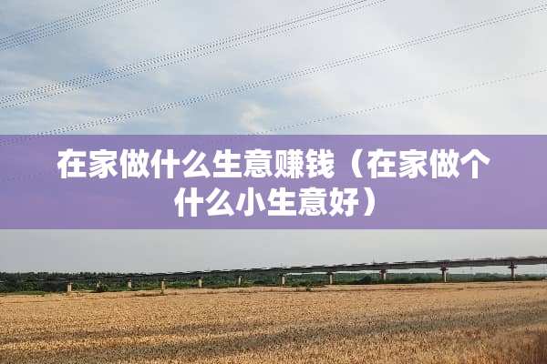 在家做什么生意赚钱（在家做个什么小生意好）