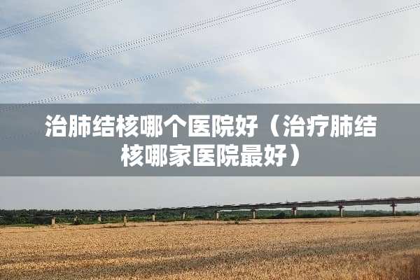 治肺结核哪个医院好（治疗肺结核哪家医院最好）