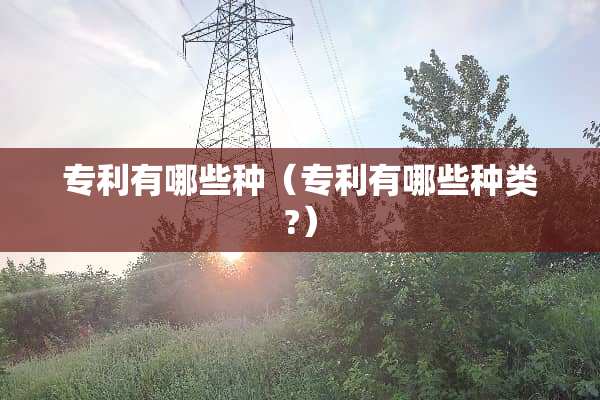 专利有哪些种（专利有哪些种类?）