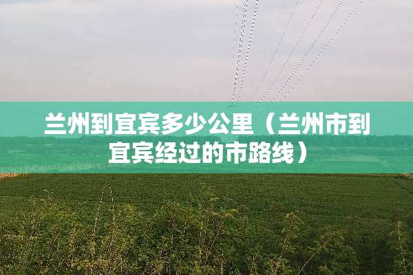 兰州到宜宾多少公里（兰州市到宜宾经过的市路线）