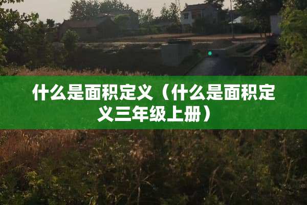 什么是面积定义（什么是面积定义三年级上册）