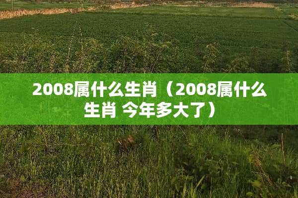 2008属什么生肖（2008属什么生肖 今年多大了）