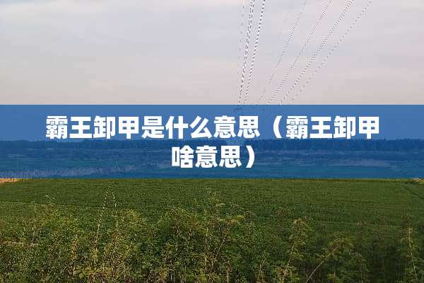 **卸甲是什么意思（**卸甲啥意思）