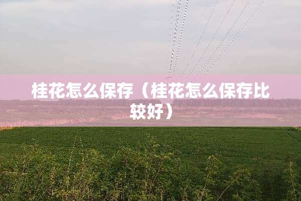 桂花怎么保存（桂花怎么保存比较好）
