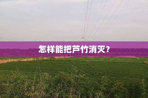 怎样能把芦竹消灭？