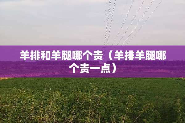 羊排和羊腿哪个贵（羊排羊腿哪个贵一点）