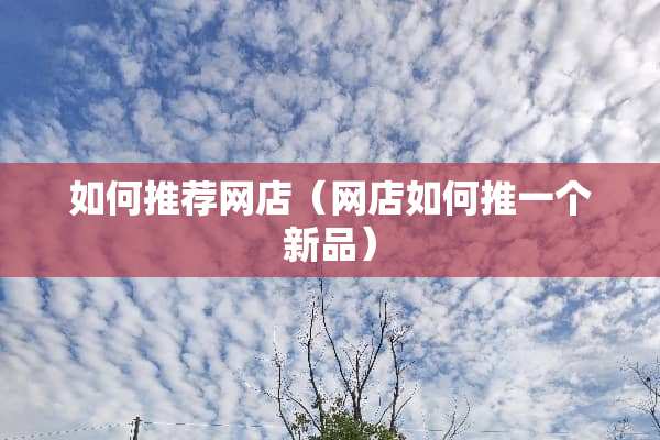 如何推荐网店（网店如何推一个新品）