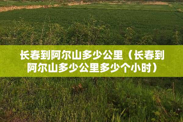 长春到阿尔山多少公里（长春到阿尔山多少公里多少个小时）