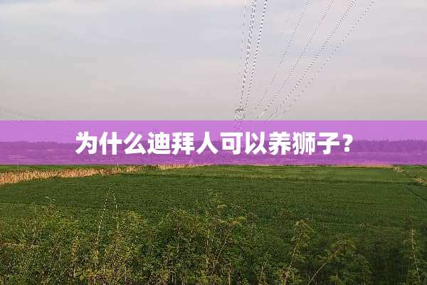 为什么迪拜人可以养狮子？